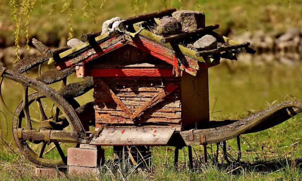 koło pszczelarzy gminy branice
