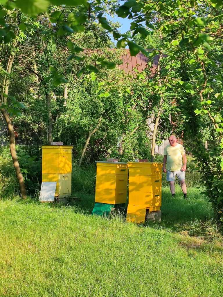 pasieka